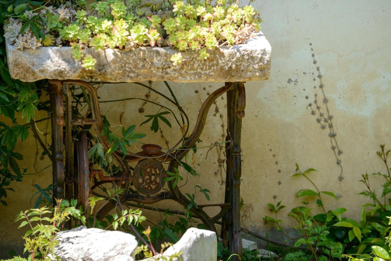 Apartment Ilko Dubrovnik Dış mekan fotoğraf